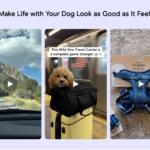 🐾 Wild One – Premium Pet Gear for Your Best Friend